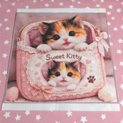 未使用　可愛い猫ちゃんパネル生地＆スター柄生地です。