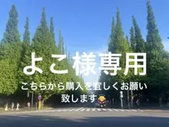 一番くじ 銀魂 H賞 クリーナーマスコットストラップ - メルカリ