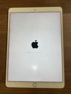 iPad Pro 64GB Wi-Fi 難あり