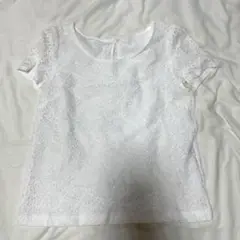 半袖レース　半袖 トップス ブラウス
