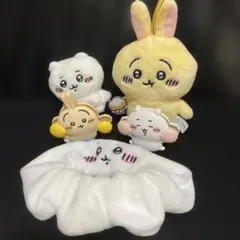 ちいかわうさぎハチワレシュシュ