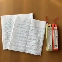 Item thumbnail for item 6cef847a-86af-4158-967f-ccf53cdfcea6