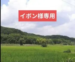 イボン様専用のサムネイル
