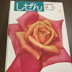 キンダーブック しぜん あさがお - メルカリ