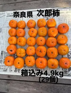 次郎柿 箱込み4.9kg (29個)