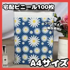 Item thumbnail for item 82ae2dc8-ed65-4999-a802-973b46427131