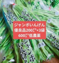 2026年最新】ジャンボインゲンの人気アイテム - メルカリ