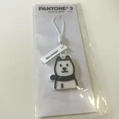 ソフトバンク　お父さんグッズ　ストラップ