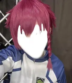 ブルーロック 黒名蘭世 ウィッグ