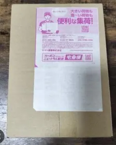 ポケモンカードゲームMEGA ニンジャスピナー　1BOXシュリンク付き