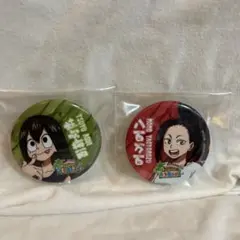 僕のヒーローアカデミア 蛙吹梅雨 八百万百