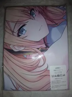 H384　抱き枕カバー　未開封 ■約160㎝×約50㎝ ■２WAYトリコット