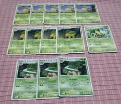 ポケモンカード ナエトル ハヤシガメ ドダイドス スタートデッキ ポケカ せっとのサムネイル