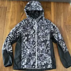 Item thumbnail for item 6a261ef8-cae0-45eb-b808-766ebbcf0e10