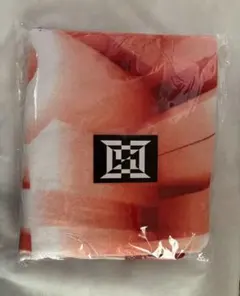 J-HOPE HOPE ON THE STAGE FINAL タオル 入場特典