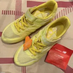 Item thumbnail for item 258729a4-d65b-4338-ac90-f167b8ae3a16