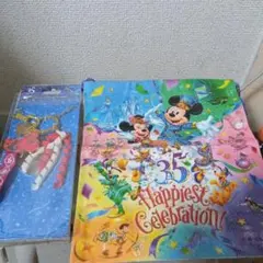 東京ディズニーリゾート35周年巾着とバッグチャーム2点セット