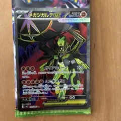ポケモンカード メガジガルデex SR
