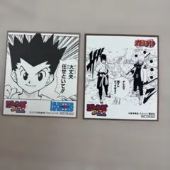ジャンプフェア 色紙 アニメイト HUNTER×HUNTER NARUTO