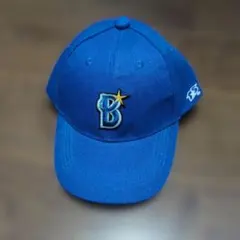 Item thumbnail for item bf8c43f3-a5a8-45c1-8f66-3e5c7554d641