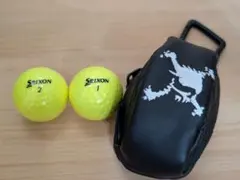 Oakley ゴルフボールケース Srixonボール2個付のサムネイル