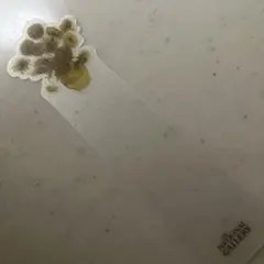 Item thumbnail for item c6664d45-9c5e-47db-a305-218ab40cb811