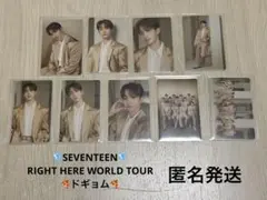 SEVENTEEN right here world tour ドギョム　コンプ