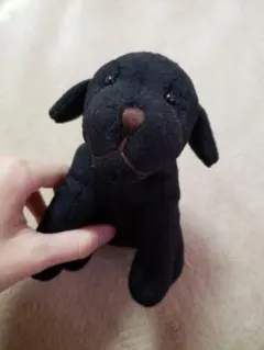 ラブラドール ぬいぐるみ【1500円→1380円‼️】