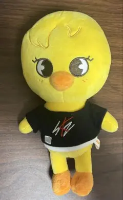 Stray Kids エコパ BbokAri ぬいぐるみ - メルカリ