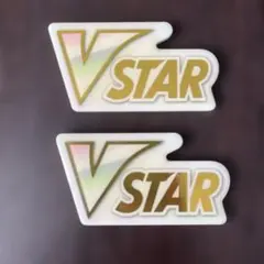 海外限定 ポケモン VSTAR マーカー 2個 アクリル製のサムネイル
