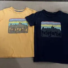 5T ⭐︎Patagonia⭐︎ Tシャツ　【2枚セット】　112〜117㎝