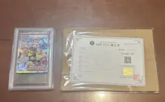 2025年最新】ars鑑定 10 ナンジャモの人気アイテム - メルカリ