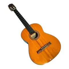 FERNANDES フェルナンデス　アコースティックギター　CC-15 FERNANDES フェルナンデス アコースティックギター No.GC-15 - メルカリ