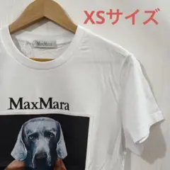 2025年最新】maxmara tシャツ 犬の人気アイテム - メルカリ
