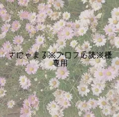 Item thumbnail for item 9af3e6f1-3d8b-4c20-b7de-d2e10b874d67