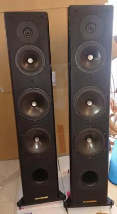 土日限定価格 Vienna Acoustics BACH GRANDペア 送料込 - メルカリ