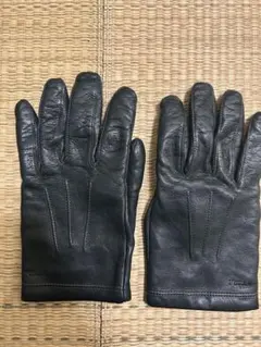 Item thumbnail for item cc079e80-8234-4d55-b0bb-57c30de7fa61