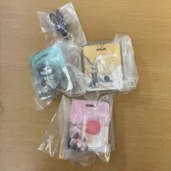 ズートピア　めじるしアクセサリー　ブリスターチャームコレクション