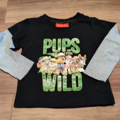 パウパト　ロンT 110