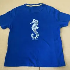 Item thumbnail for item 5f3f3435-f985-4241-8039-6aea596986fc