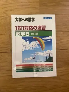 大学への数学 1対1対応の演習 数学B