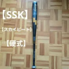 SkyBeat 31 中学硬式バット 金属 ブラックのみ - メルカリ