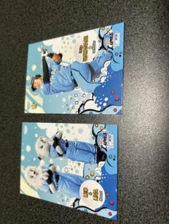 BBM 2025 埼玉西武ライオンズカードセット LIONS BOUQUET