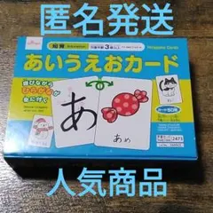 あいうえおカード 知育玩具 ひらがな 学習カードのサムネイル