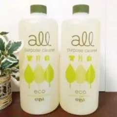 Item thumbnail for item 872bb1d2-77a2-448e-9836-dabd0c00d18c