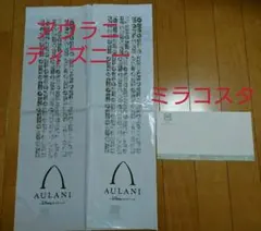 ディズニーお土産袋 15枚+封筒1枚