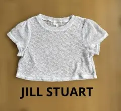 JILL STUART 半袖メッシュTシャツ Sのサムネイル
