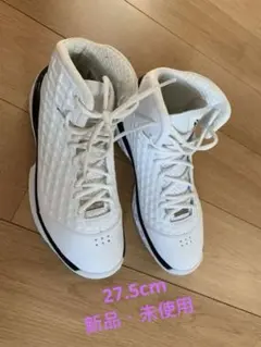 未使用⭐️NIKE ズームコービーＶ　バスケットボールシューズ29.5cm NIKE ナイキ 386429-102 ZOOM KOBE V ズームコービー 5