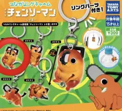 【早い者勝ち】チェンソーマン　めじるしアクセサリー　ポチタB