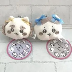ちいかわ ミニがまぐち 〜リボン〜 シーサー ハチワレ 2個セット